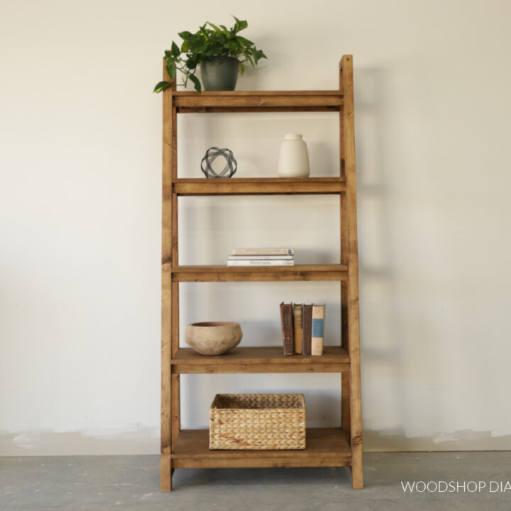DIY Ladder Shelf