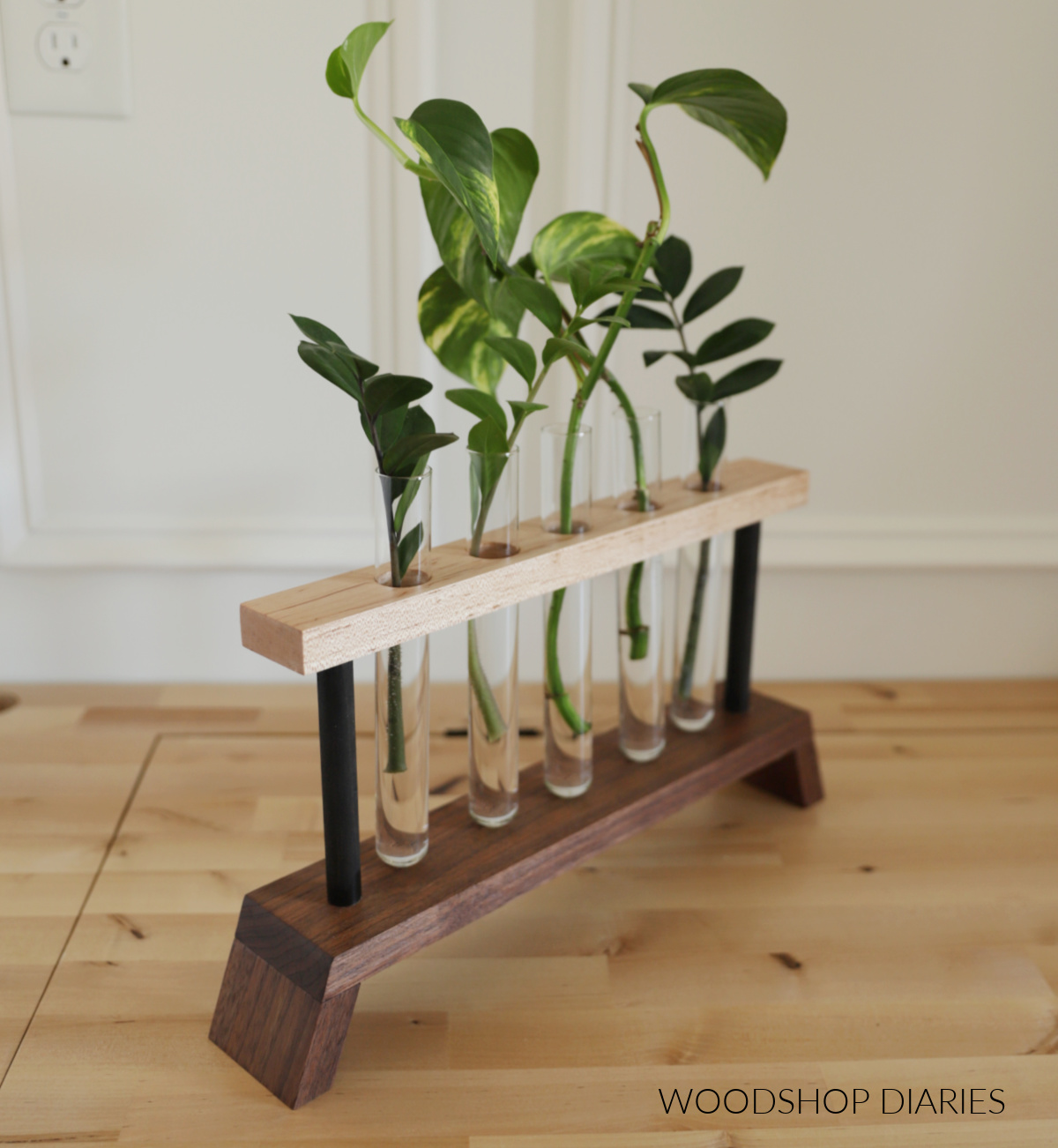 Finished DIY propagation station made from scrap wood with test tubes and plant cuttings