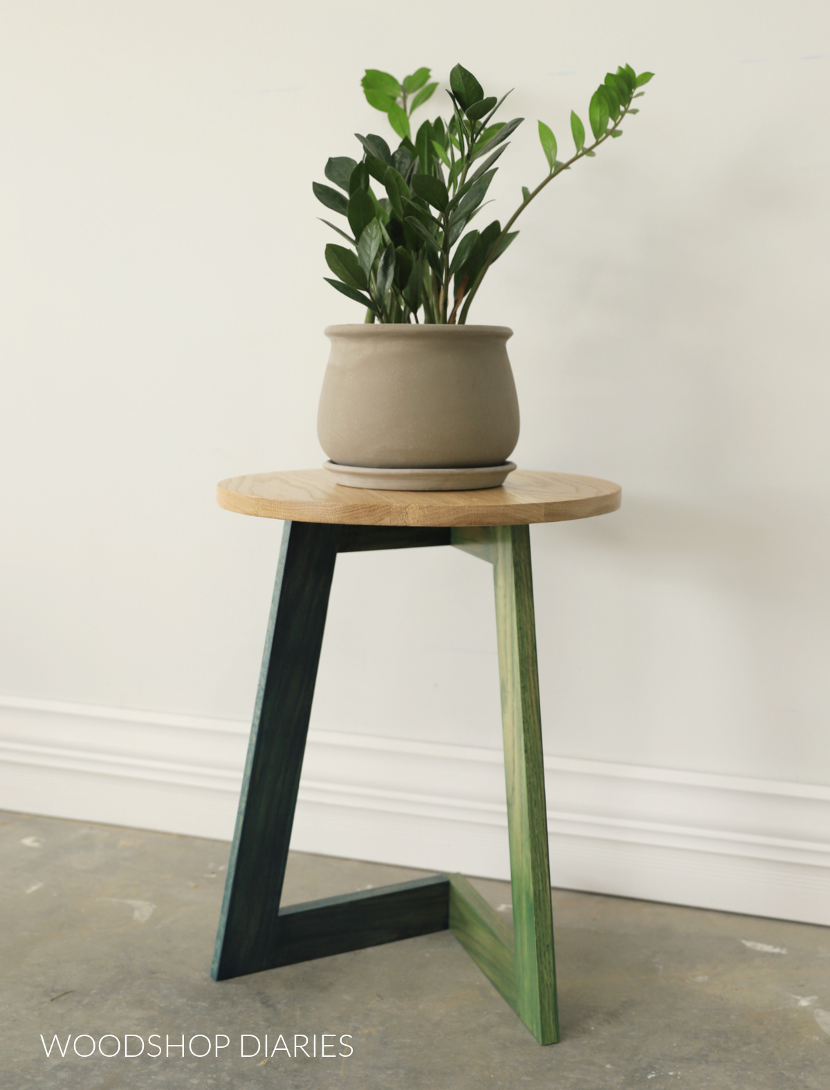 Blue, green, and white oak side table used as a plant stand with ZZ plant on top