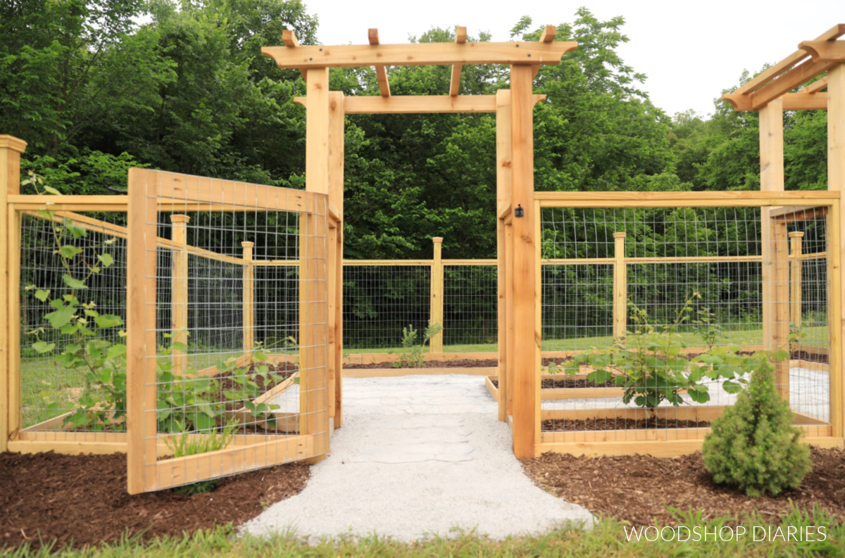 Enclosed walk in garden with paver walkway and cedar arbors with treated wood fence framing. Gate open on arbors and grapevines growing on each side