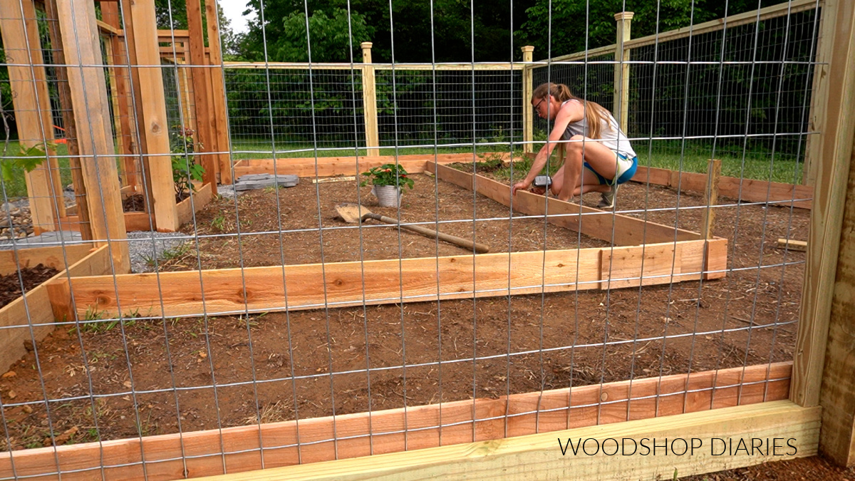 Shara Woodshop Diaries assembling garden beds inside enclosed area with cedar fence pickets