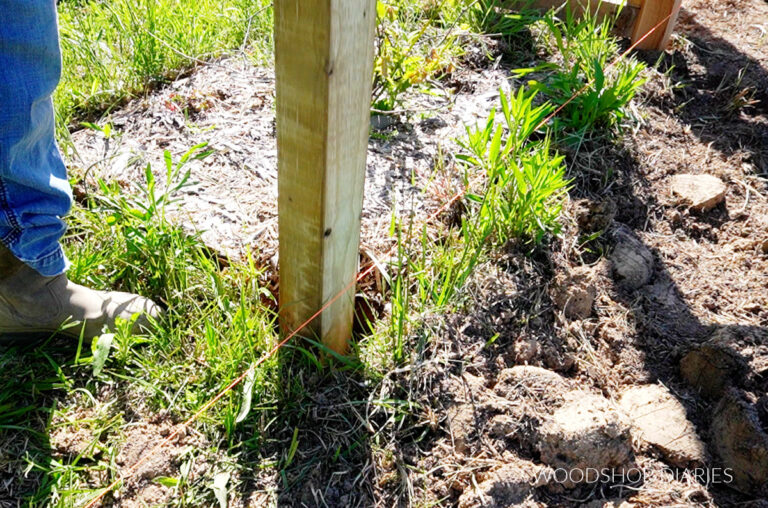How to Build an Enclosed Walk-In Garden | BUILDING PLANS