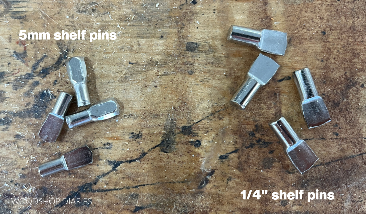 Shelf Pins 5MM   Official Store