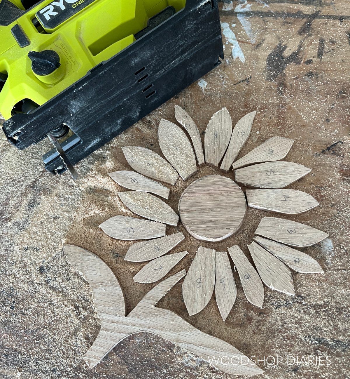 Oak flower petals and pieces cut out laid out on workbench next to jig saw and labeled