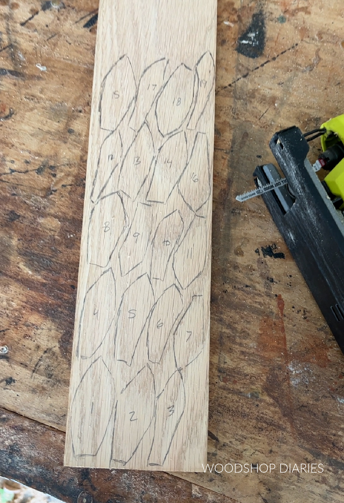Oak board with petals traced out on top next to jig saw on workbench