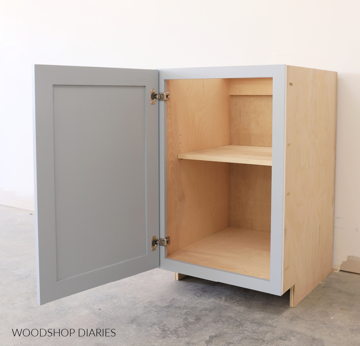 Base cabinet box with door open showing adjustable shelf inside on shelf pins