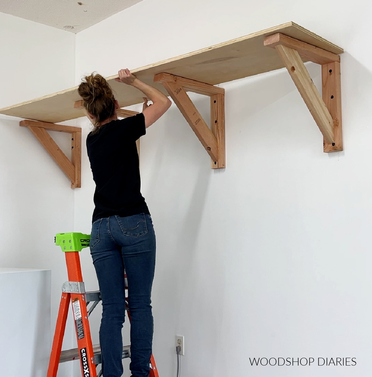 Shara Woodshop Diaries placing plywood on wall shelf supports