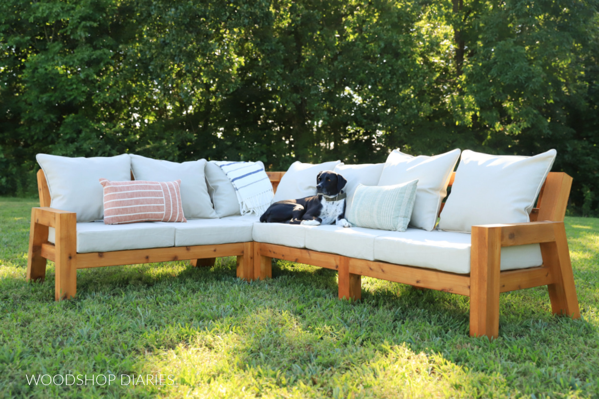 Black and white dog laying on outdoor sectional with tan cushions
