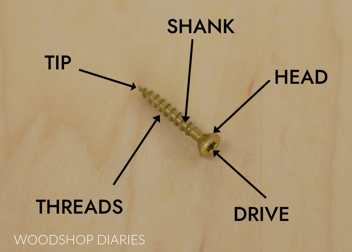 Close up image of screw with arrows pointing to each part