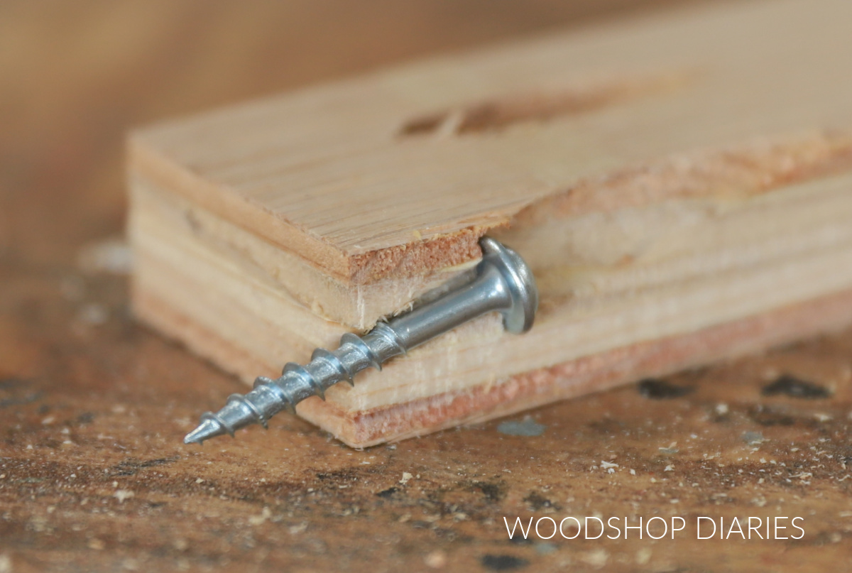 Close up of pocket hole cut down middle with washer head screw inside showing how pocket hole screws don't countersink into wood