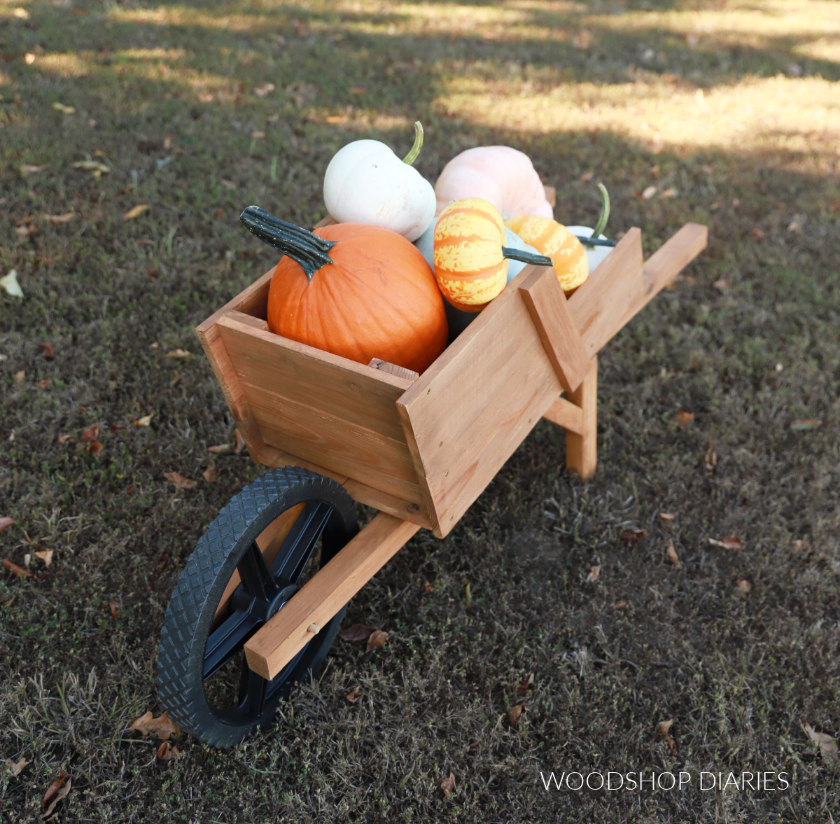 DIY wooden wheelbarrow made from cedar fence pickets with pumpkins inside