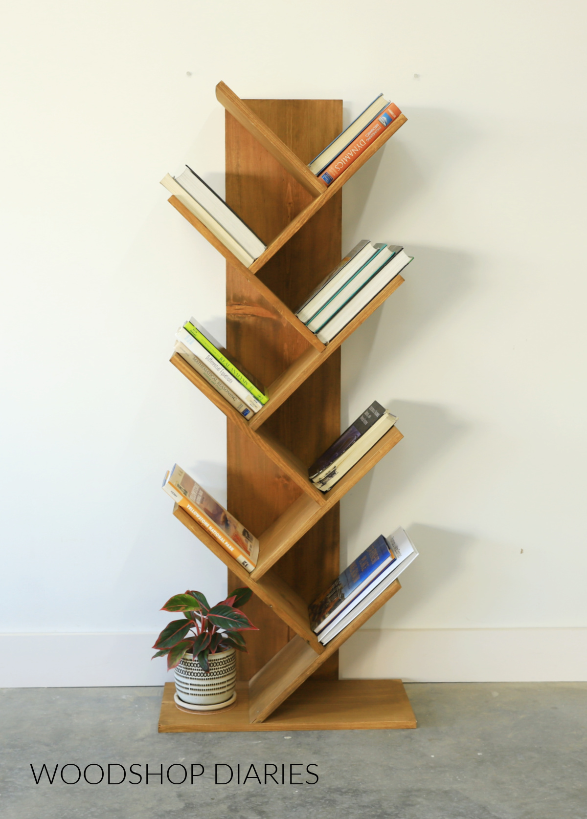 Completed DIY angled bookshelf made from 1x12 boards stained with Minwax Aged Oak