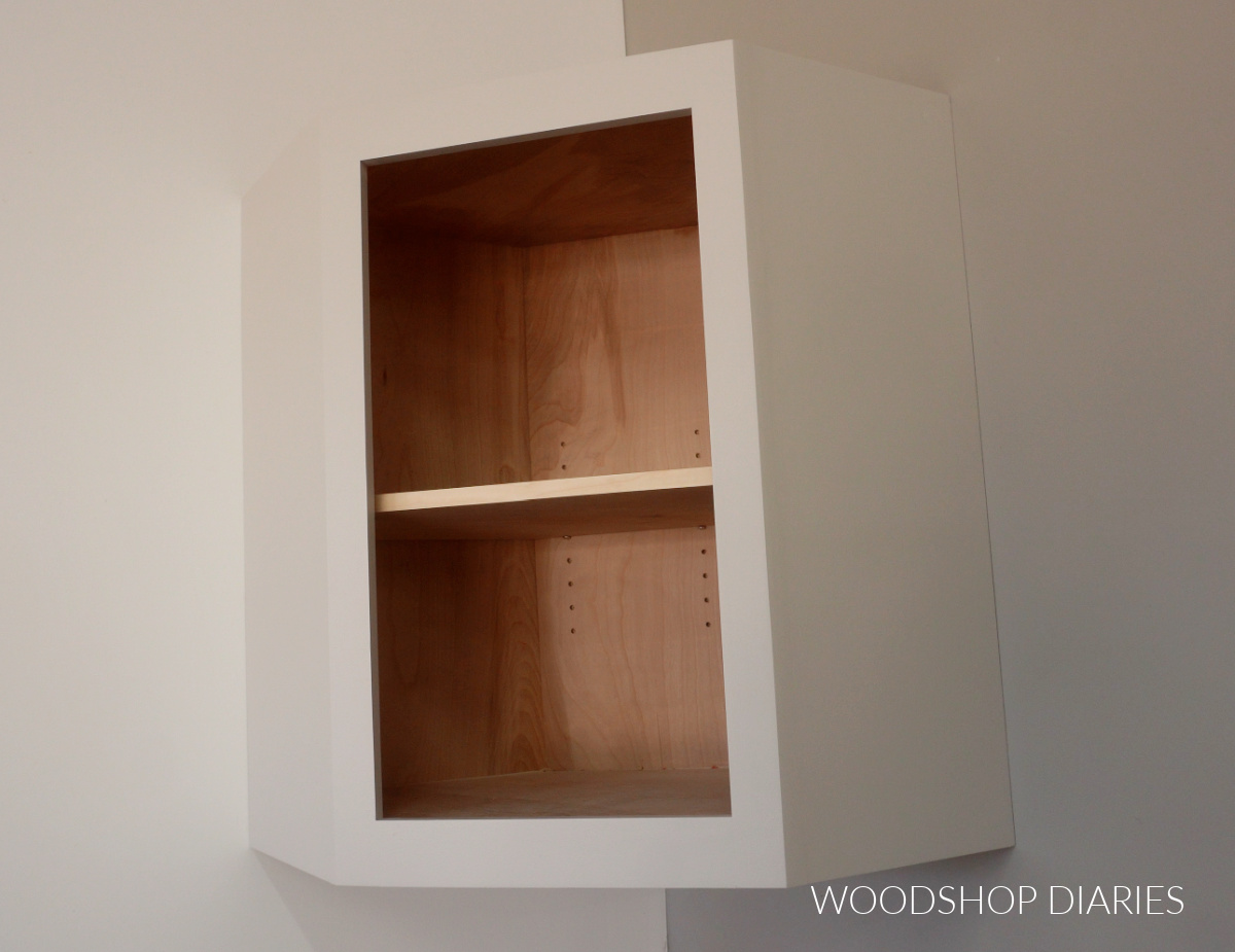 Corner cabinet hung on wall with shelf installed on shelf pins